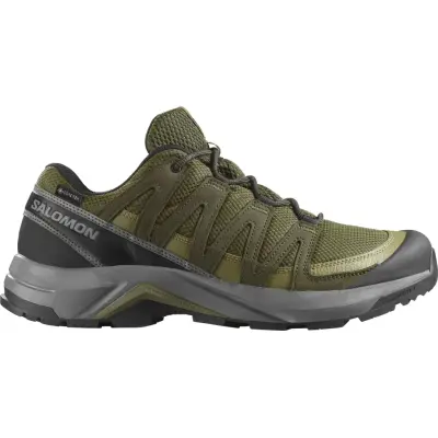 Salomon Men's X-Adventure Recon GORE-TEX Olive Night/martini Olive/pewter
