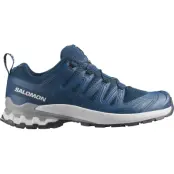 Salomon Men's XA Pro 3D V9 Poseidon/icicle/alloy