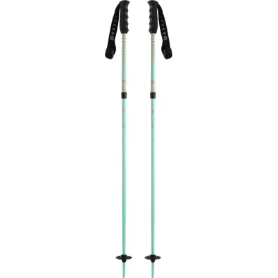 Black Crows Juniors' Duos Junius Turquoise