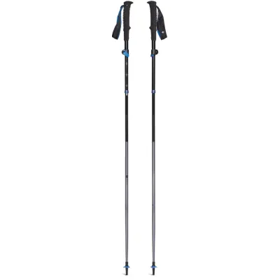 Black Diamond Distance FLZ Poles Pewter