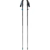 Black Diamond Distance FLZ Poles Pewter
