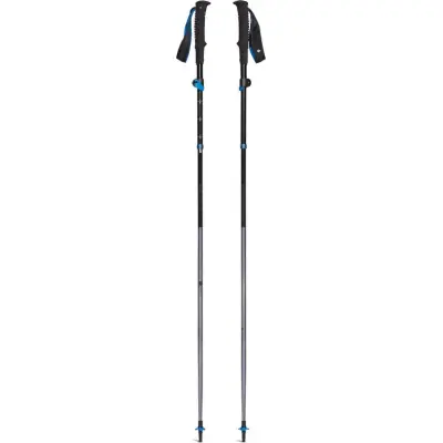 Black Diamond Distance FLZ Poles Pewter