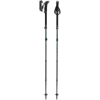 Leki Makalu FX Carbon Natural carbon/Malachite Green/Black