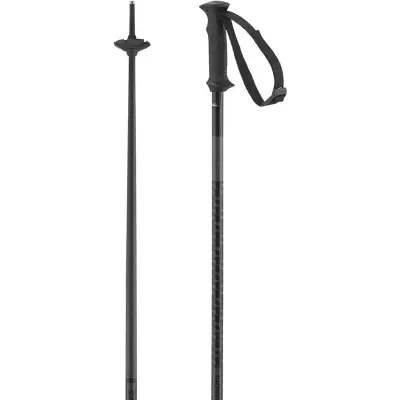Salomon Polar Access Poles Black Black 135
