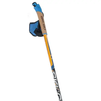 Skigo Roller 100% Carbon