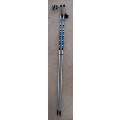 Skistart Stav För Skridskoåkare