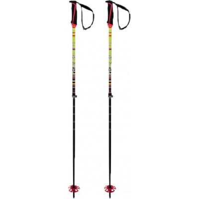 Völkl Kid's Phantastick FR Poles No Colour