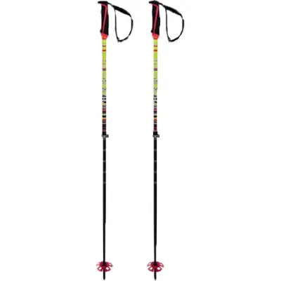 Völkl Kid's Phantastick FR Poles No Colour