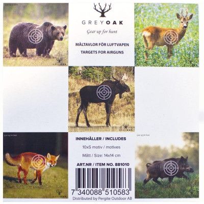 Grey Oak Targets For Airguns Multicolor